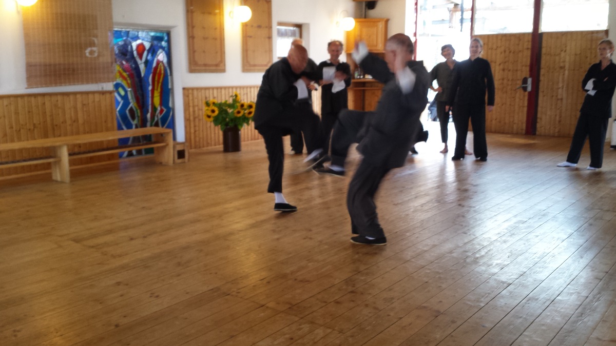 Tai Chi Push Hands 12 Meister King Hung Chu